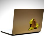 aslan-minimal-laptop-sticker