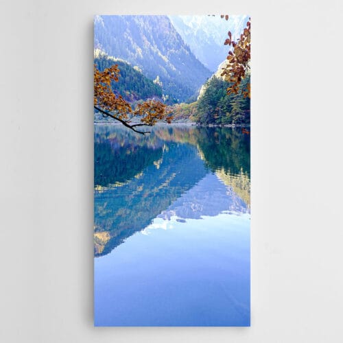 Ağaç Dalı Göl Manzara Panoramik