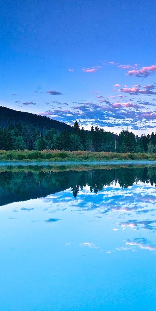 Ağaçlar ve Göl Panoramik