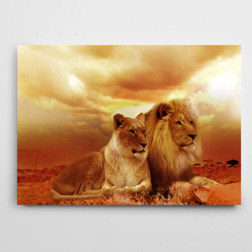 Aslan