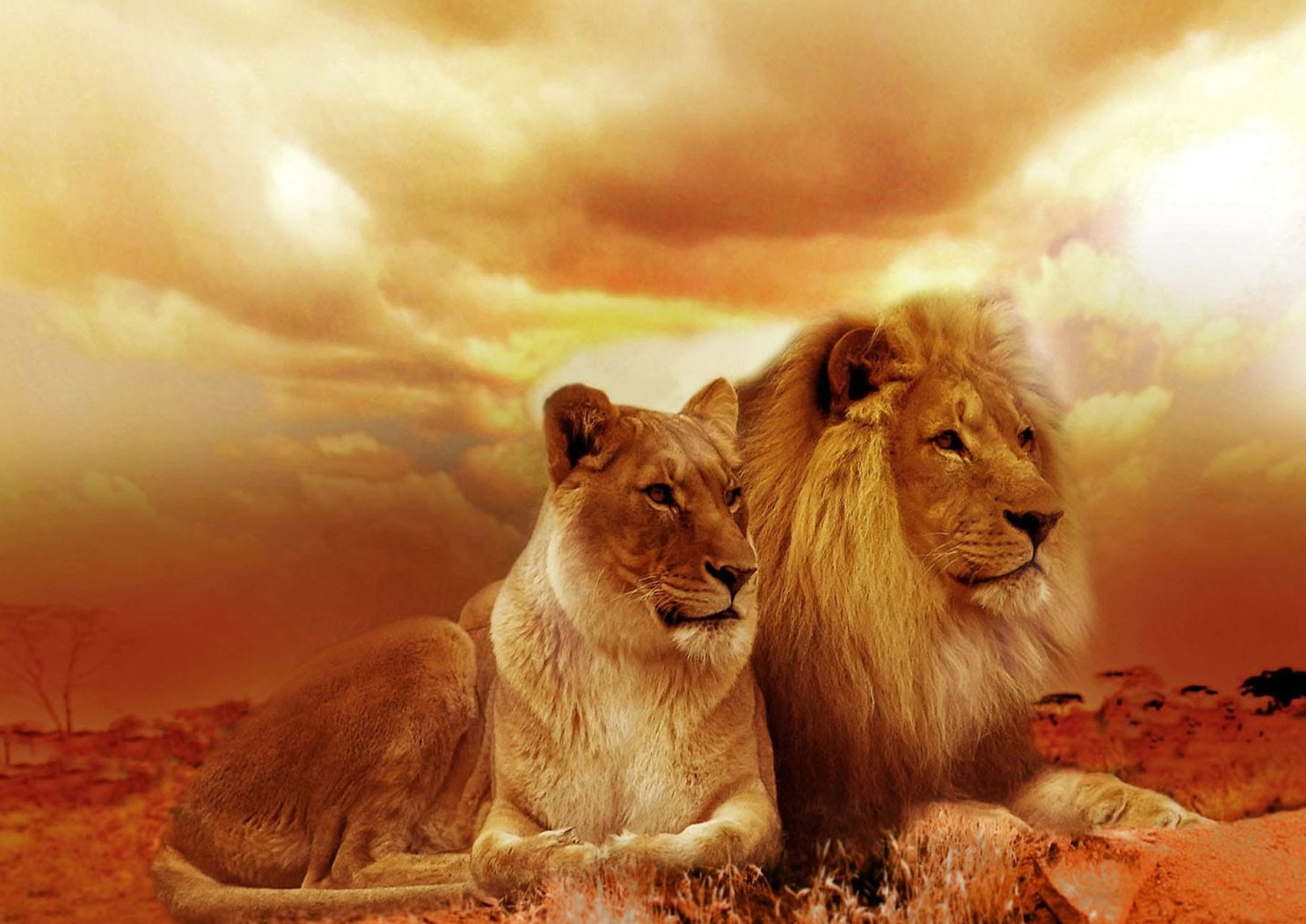Aslan