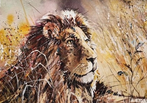 Aslan Suluboya