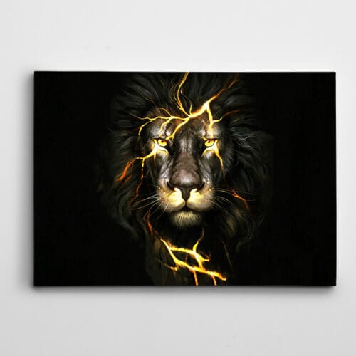 Aslan ve Yıldırımlar