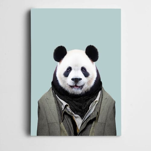 Atkılı Panda