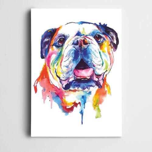 Buldog Köpek