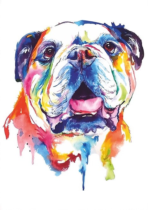 Buldog Köpek