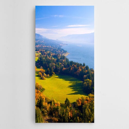 Çam Ağaçları ve Deniz Panoramik