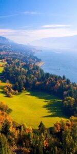 Çam Ağaçları ve Deniz Panoramik Tablo