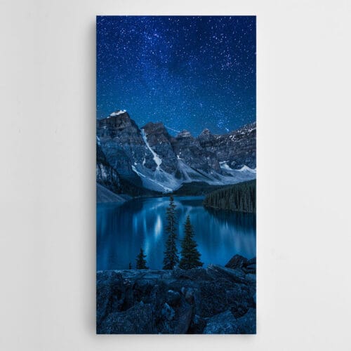 Çam Ağaçları Yıldızlar ve Gece Panoramik