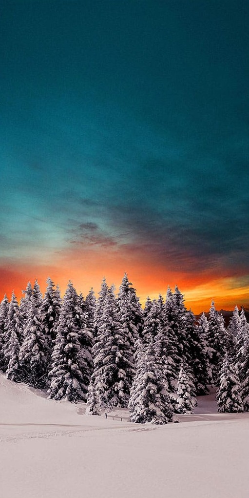 Çamlar Üzerinde Gün Batımı Panoramik
