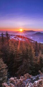 Çamlıklar ve Gün Batımı Panoramik Tablo