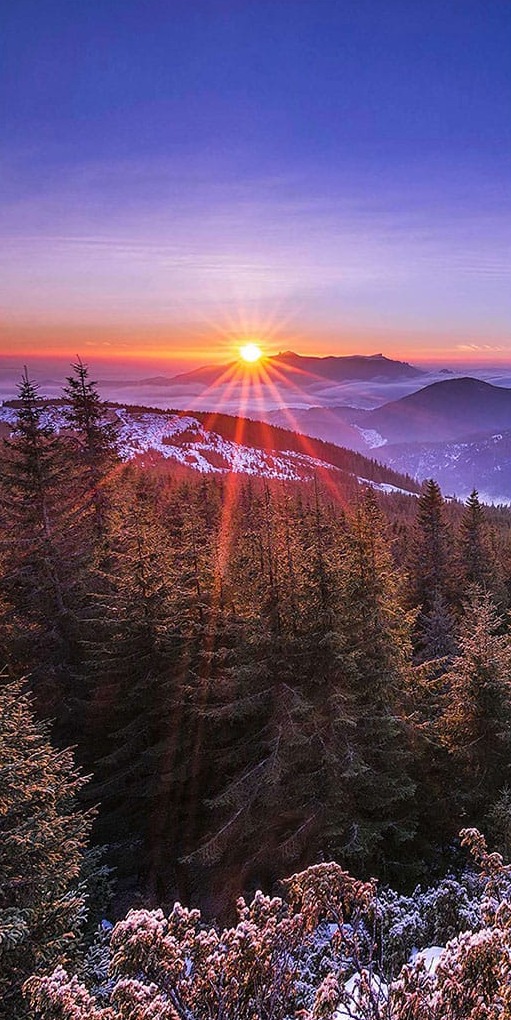Çamlıklar ve Gün Batımı Panoramik