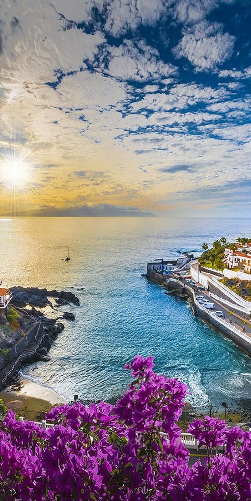 Çiçekler Üzerinde Manzara Panoramik