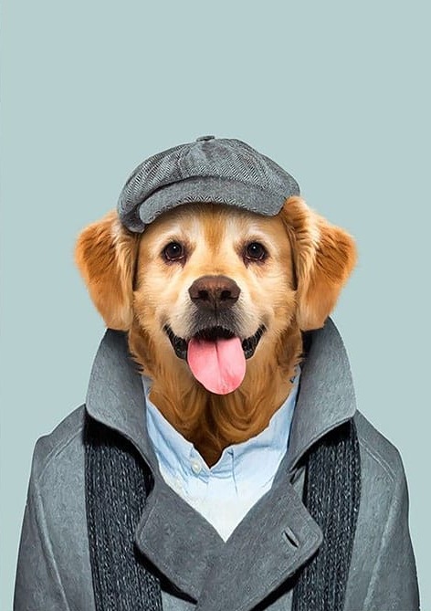 Dil Çıkaran Köpek