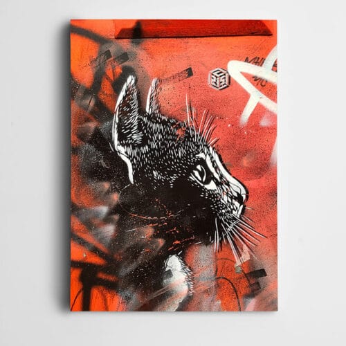 Duvarda Kedi Çizimi