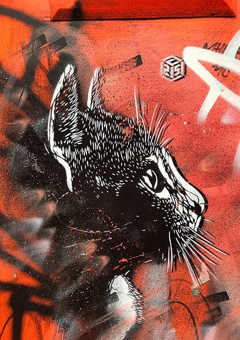 Duvarda Kedi Çizimi