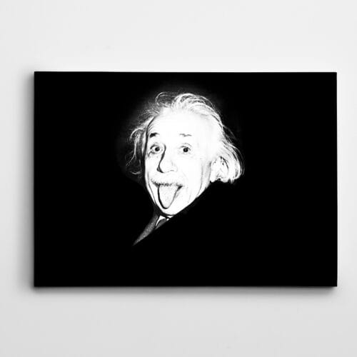 Einstein Siyah Beyaz