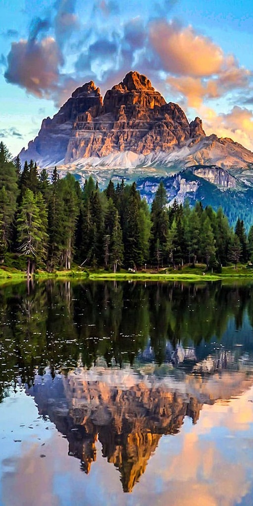 Göl Çam Ağaçları Dağlar Panoramik