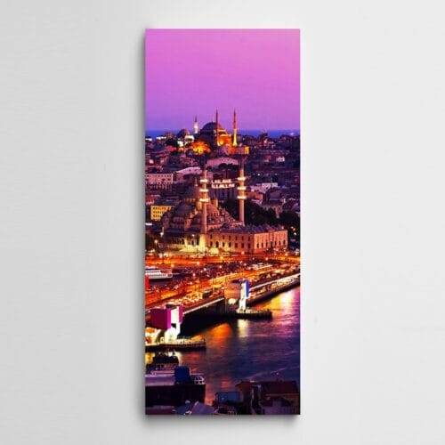 Haliç Panoramik