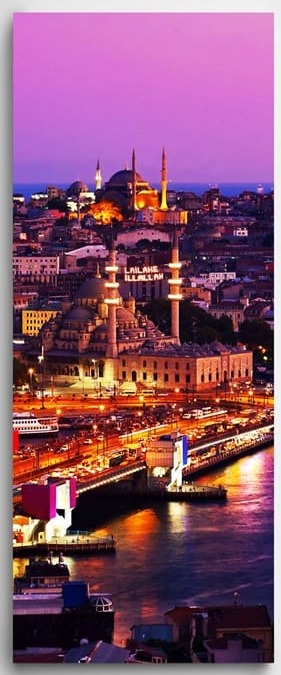 Haliç Panoramik