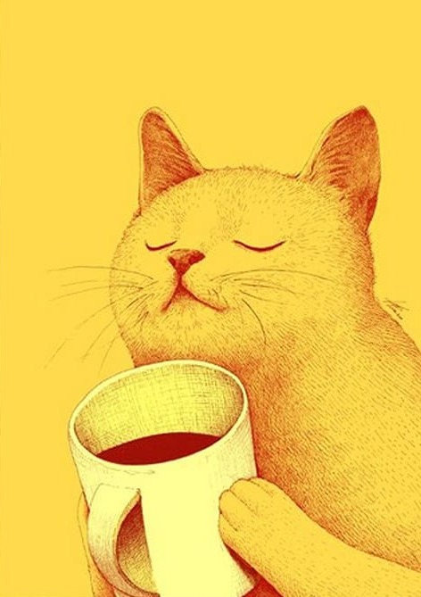 Kahve İçen Kedi