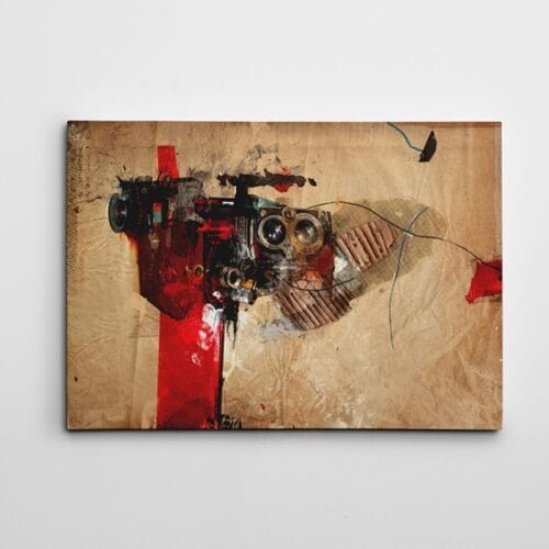 Kameralar