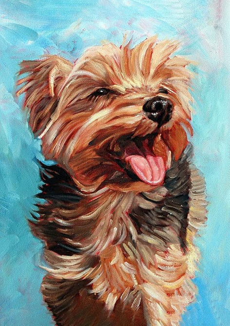 Kaniş Köpek