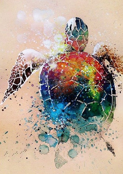 Kaplumbağa Renkler Modern Sanat