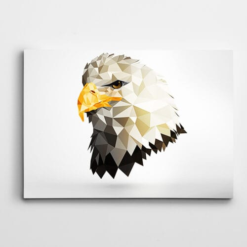 Kartal Low Poly