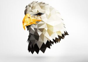 Kartal Low Poly Tablosu