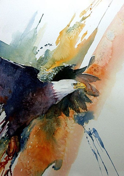Kartal Renkler