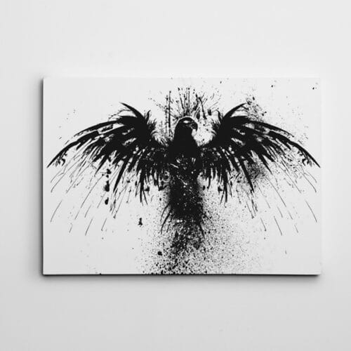 Kartal Siyah Beyaz
