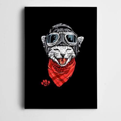 Kedi