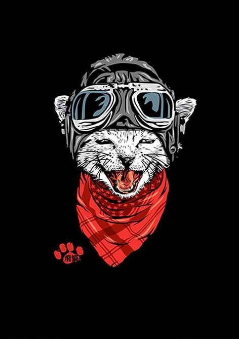 Kedi