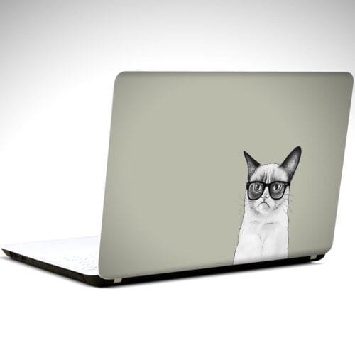 Kedi