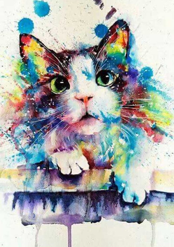 Kedi Suluboya