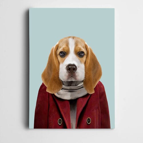 Kırmızı Montlu Köpek