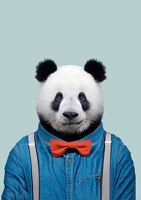 Kırmızı Papyonlu Panda