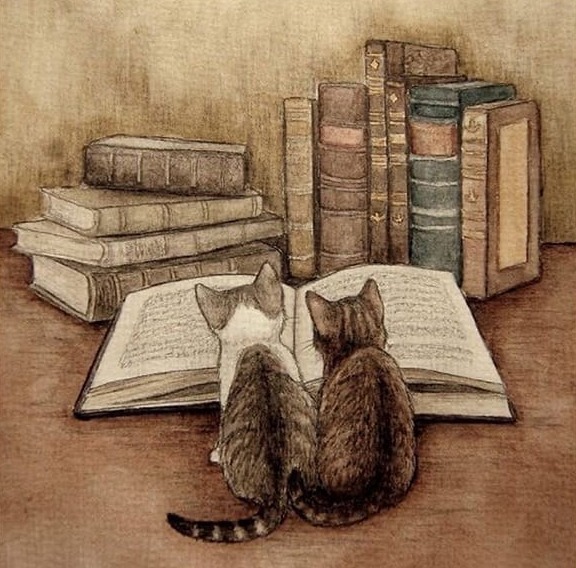 Kitap Okuyan Kediler Kare