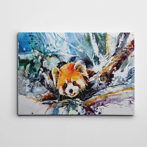 Kızıl Panda Suluboya