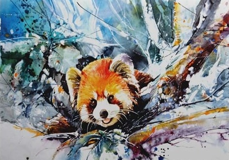 Kızıl Panda Suluboya