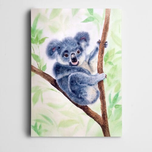 Koala Ağaç Dalında