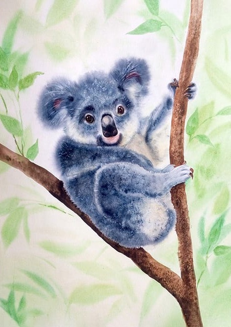Koala Ağaç Dalında