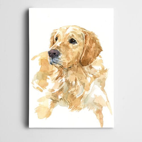 Köpek