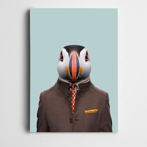 Kravatlı Penguen