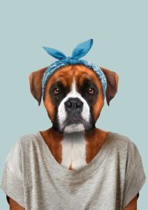 Mavi Bandanalı Köpek Tablosu