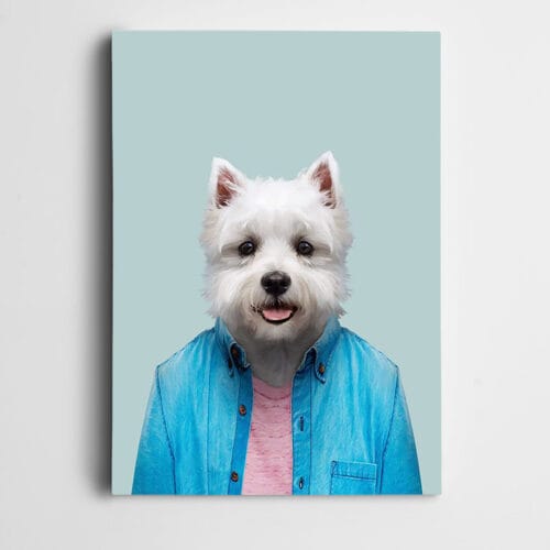 Mavi Gömlekli Köpek