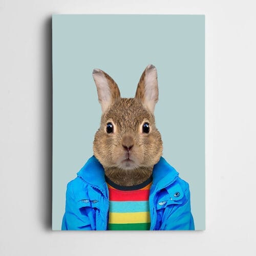 Mavi Montlu Hamster
