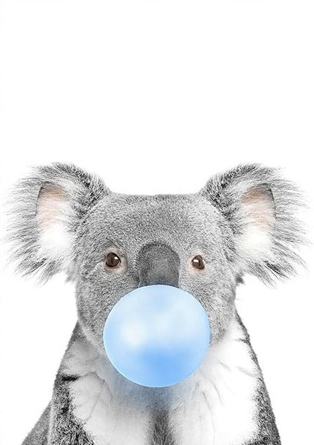 Mavi Sakızlı Koala