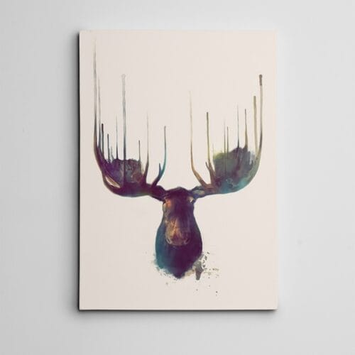 Moose